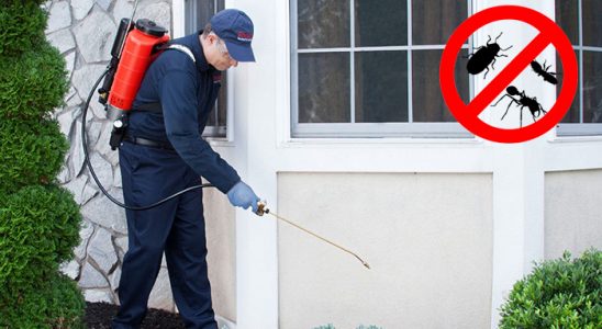 İzmir Hamam Böceği İlaçlama böcek ilaçlama ve haşere kontrolü — ilaclama-tr.com